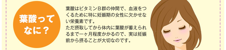 葉酸ってなに？