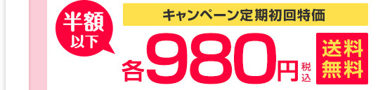 キャンペーン定期初回特価 今だけ各980円税込 送料無料