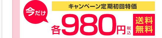 キャンペーン定期初回特価 今だけ各980円税込 送料無料