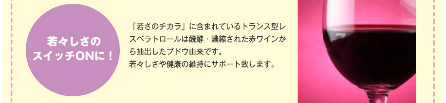 若さを保つサーチュイン遺伝子をONに！